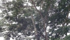 IMG 20150409 WA0012