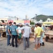 fiscaliza carroca olavo materia