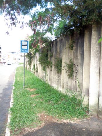 Local não tem abrigo e está tomado por mato