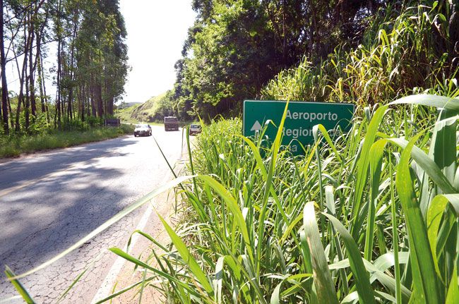 Problema ocorre em vários trechos da MG-353, entre JF e Coronel Pacheco (Olavo Prazeres/14-04-15)