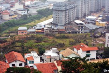 267 árvores foram cortadas em terreno, e há denúncias de debandada de animais silvestres
