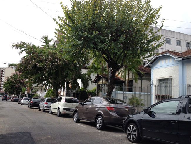 Galhos tocam a fiação na Rua Padre João Emílio