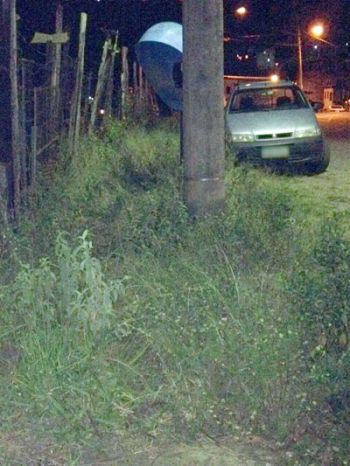 Mato dificulta acesso a orelhão