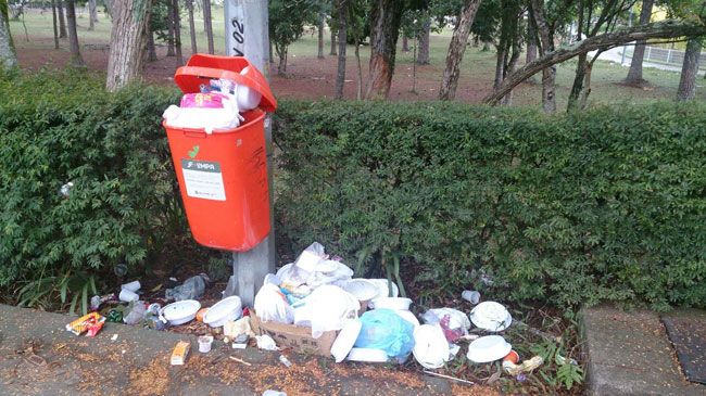No anel viário, cresce o mau cheiro com o lixo espalhado