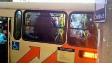 onibus sem credito 2