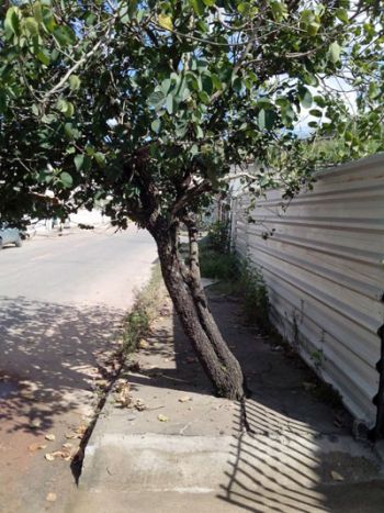 Pedestres ficam prejudicados na Rua Gelson Marciano da Silva, no Bairro Fontesville