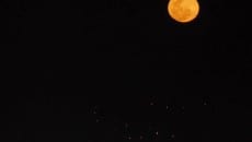 Leitores enviam fotos da 'lua azul' 3 Dirce Panza Paineiras