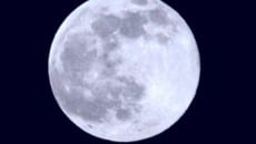 Leitores enviam fotos da 'lua azul' 6 George Salles jardim casablanca