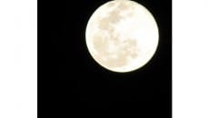 Leitores enviam fotos da 'lua azul' 5 Luciana Freitas monte castelo
