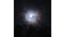 Leitores enviam fotos da 'lua azul' 8 Ludmila Heringer Heringer Ipanema MG