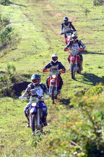  Impacto ambiental causado pelas motocicletas é compensando com plantio de árvores