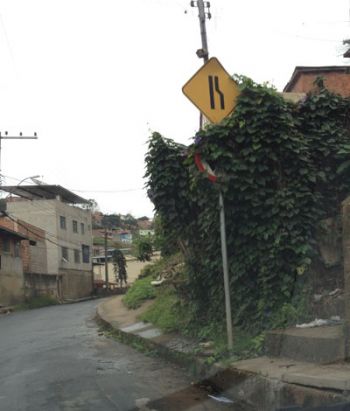 Indicação de mão dupla está escondida sob vegetação