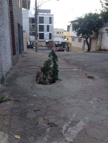 Ondulações no asfalto e buraco em calçada 4 Moradores sinalizaram buraco na calçada com galhos