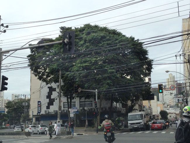 Situação pode ser vista na esquina da Itamar Franco com a Padre Café