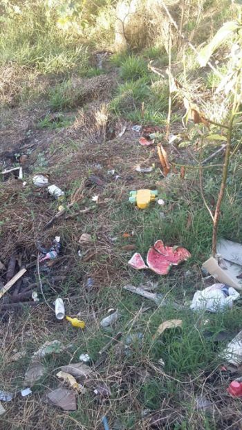 Lote sem manutenção causa transtornos 2 Terreno no São Benedito incomoda vizinhos