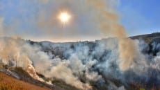 Fogo consome vegetação próximo à UFJF 3 galeria 3 fernando