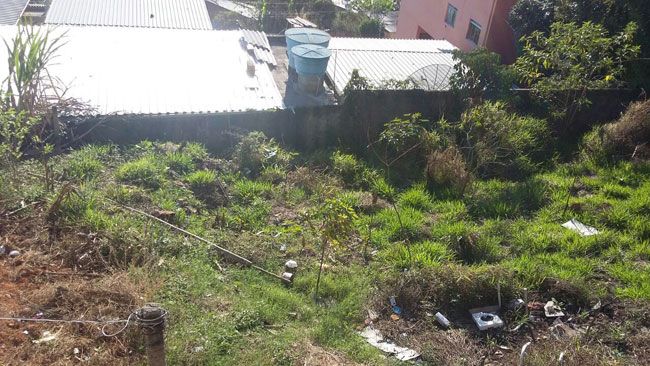 Lote sem manutenção preocupa vizinhos 2 Mesmo com muro, lixo e entulho são lançados no terreno