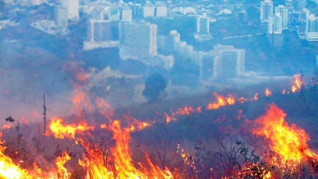 fogo ufjf leo