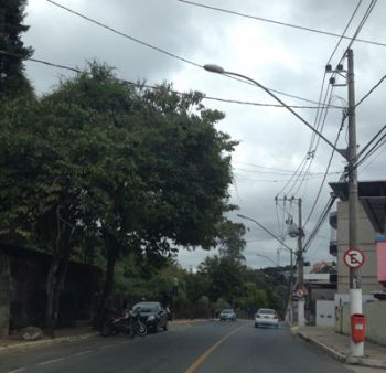 Árvore chega à fiação 2 Galhos tocam a rede elétrica na Rua José Lourenço Kelmer no S. Pedro
