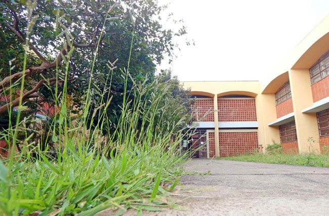 Servidor da Fundação HU entra em greve 3 Mato alto nos jardins dá sensação de abandono no campus (Leonardo Costa/08-09-15)
