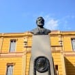 museo olavo