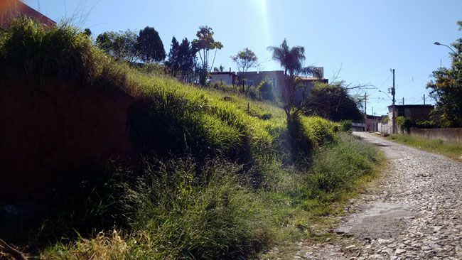 Problemas com lote vago 2 Moradores do Bairro Granjas Bethânia reclamam de terreno baldio na Rua São Cristovão
