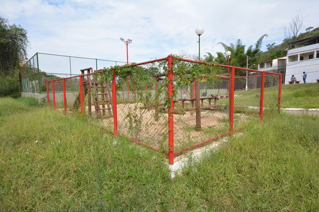 Mato alto afasta crianças da praça 2 Moradores pedem que parquinho da Praça Izolino Gonçalves Coelho, no Graminha, seja capinado (Marcelo Ribeiro/26-10-15)