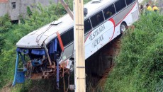 galeria onibus fernando 3