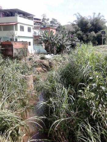 Córrego está tomado por mato e sujeira 2 Mato e lixo tomam conta de córrego no Jardim dos Alfineiros (Antonino Antunes)