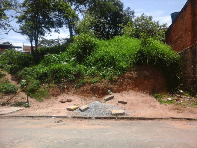 Sujeira em lote na Rua José Irineu dos Reis já foi denunciado por esta coluna (José Ricardo de Almeida)