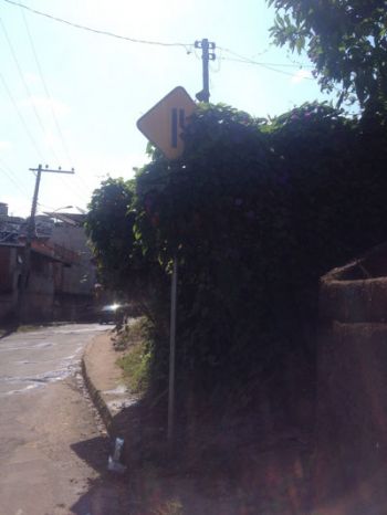 Placa encoberta na Cidade Alta 2 Vegetação encobre placa de sinalização na Rua Adão Barbosa Lima