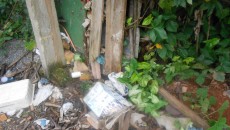 dengue jorge barros 3