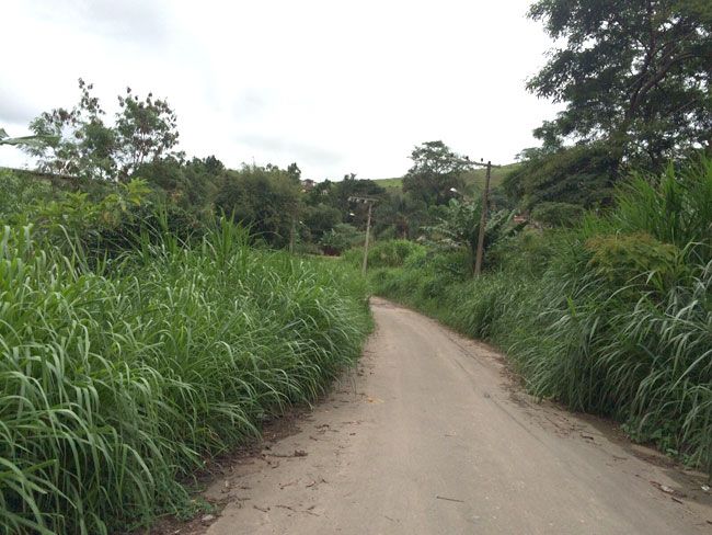 Via se transformou em um matagal (Rafael Freitas)