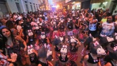 desfile escolas leo