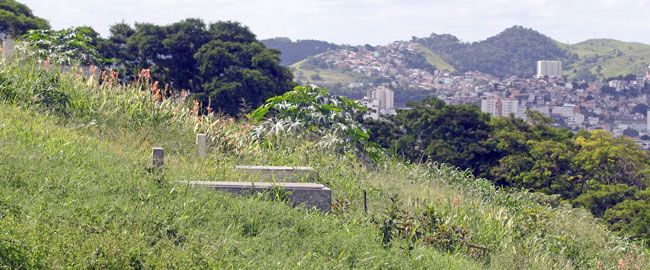 Falta de capina impede acesso a túmulos e atrai bichos peçonhentos (Leonardo Costa/05-01-16)