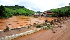 piau olavo1