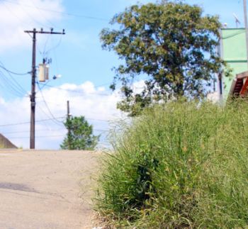 Capina e tapa-buraco no Nossa Senhora de Fátima 2 Algumas ruas do bairro precisam de maior atenção do Poder Público (Leonardo Costa/04-02-15)