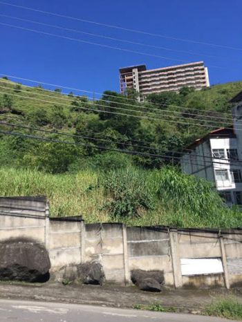 Mato não é roçado há meses em terreno no Cascatinha