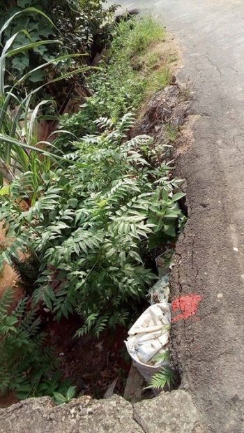 Comunidade teme que asfalto da Rua Wanda não suporte excesso de peso (Denize Artjemese)