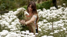 flores de piloes de ronaldo uzeda1