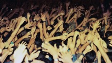 galeria9