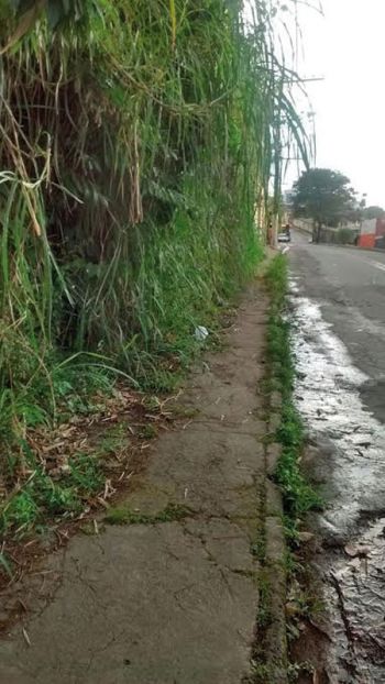 Passeio tomado pelo mato e lixo na Rua Jesus Raimundo (Fernando Vieira)