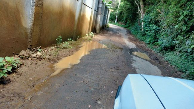 Rua Eugênio de Souza Lima apresenta sequência de buracos e mato invadindo a pista (MARIA DE LOURDES ALMEIDA)