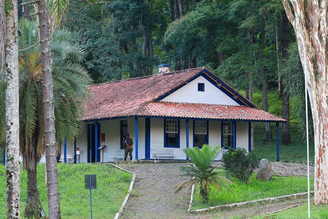 a coordenadora da fundacao casa de cabangu monica castello branco mostra o acervo da reserva tecnica