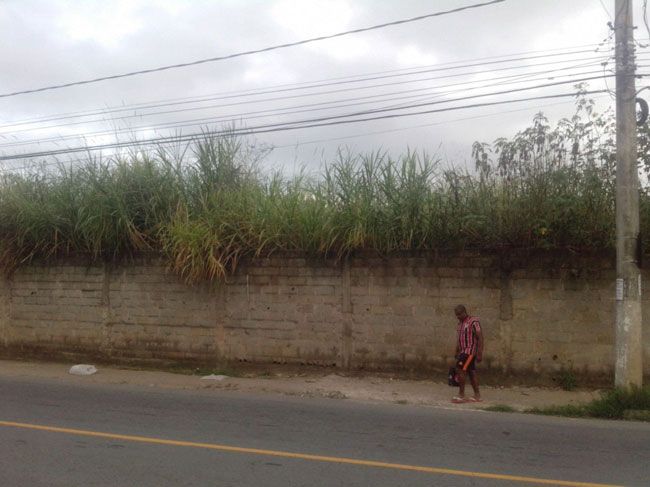 Área fica na Avenida Dr. Simeão de Faria, no Santa Cruz