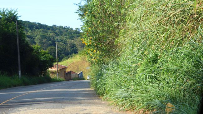 Crateras cada vez maiores e mato alto nas laterais da Rua José Lourenço (Fernando Priamo/17-05-16)