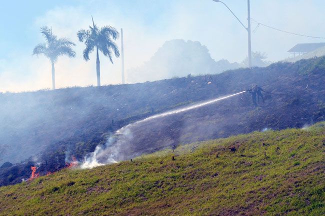 Somente este ano, Bombeiros já atenderam mais de 200 ocorrências de fogo em lotes vagos e vegetação