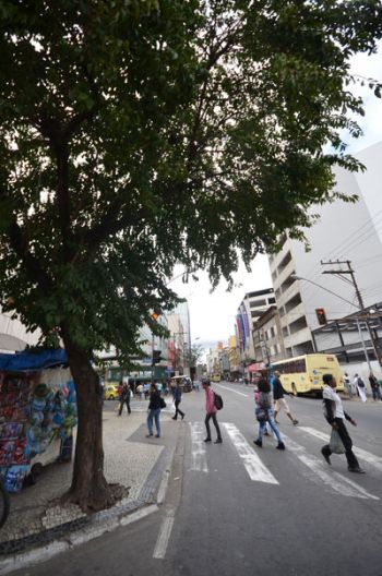 Galhos dificultam visibilidade de motoristas na Getúlio Vargas com Floriano (olavo prazeres/27-06-16)