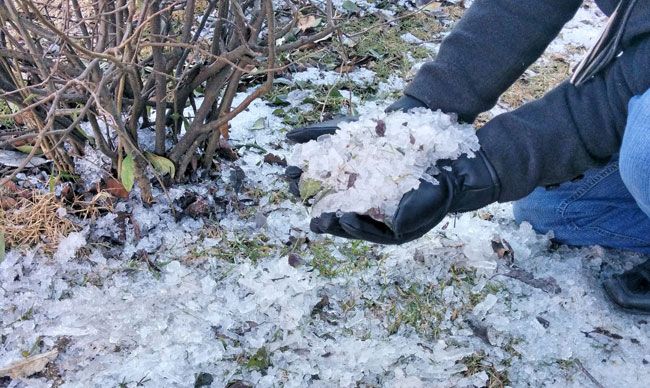 Sensação térmica de -2 graus 4 Morador de São Joaquim (SC) mostra pedras de gelo ontem, quando cidade registrou -3 graus de madrugada (Hueliton Lima/São Joaquim Online)