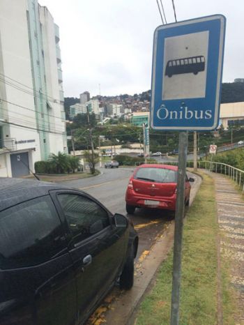 Flagrante na Alameda Pássaros da Polônia